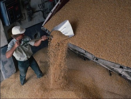 Татарстану помогут зерном