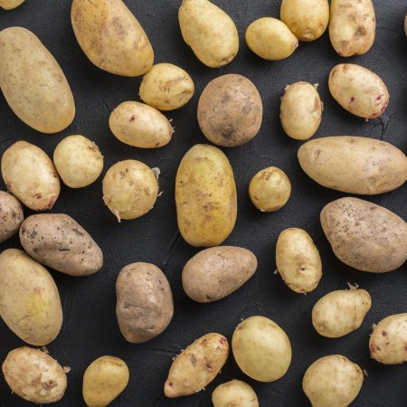 Продолжительность жизни сортов картофеля: почему снижается урожайность и как этого избежать