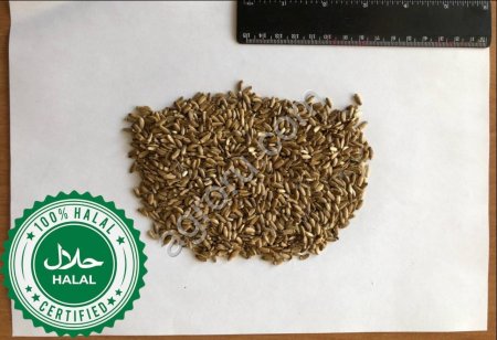 Расторопша