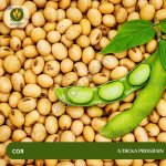 Семена сои Аляска PROGRAIN