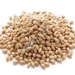 Крупа перловая