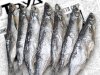 Вяленая рыба волжская оптом