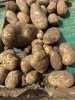 Картофель