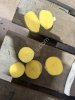 Картофель бюджетный от 20 тонн