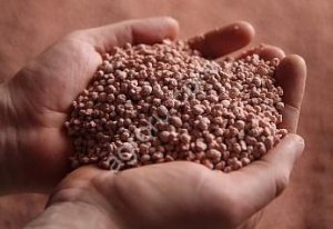 Минеральные удобрения NPK из Узбекистана