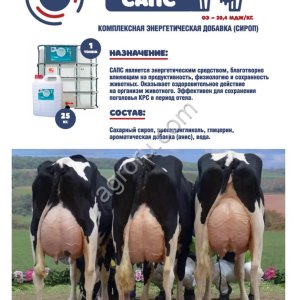 САПС - комплексная энергетическая добавка (СИРОП)