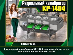 Радиальный калибратор КР-1404 для картофеля, лука, моркови, свеклы, редьки, репы