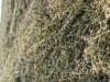 Сено люцерна с клевером