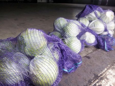 Капуста белокочанная 2 сорт