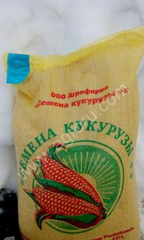 Семена кукурузы