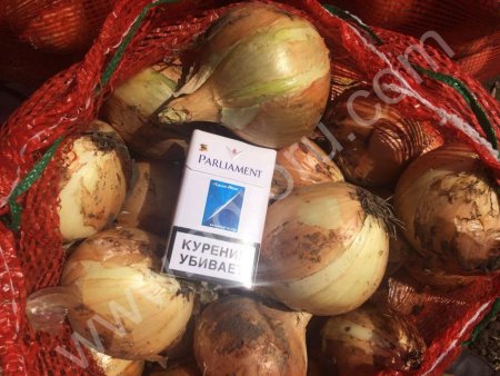 Лук репчатый молодой