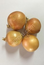 Лук