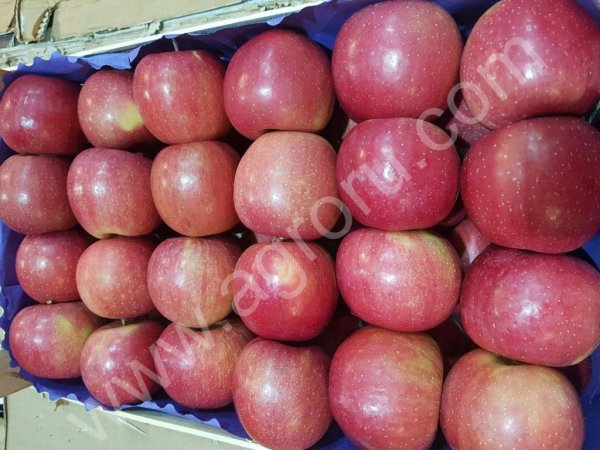 Яблоки Фуджи