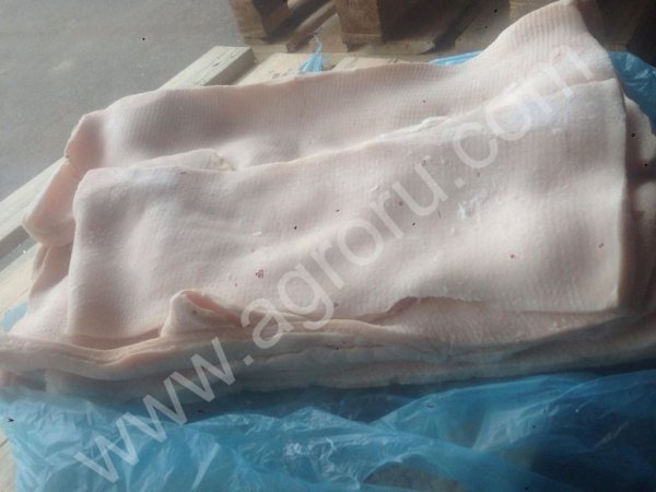 Шпик Хребет