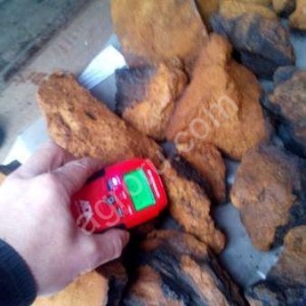 Сухая чага оптом