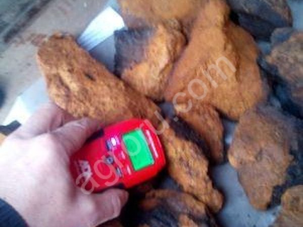 Сухая чага оптом