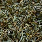 Сагаан-Дайля