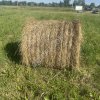 Сено в рулонах