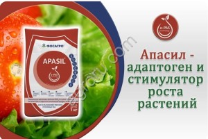 Apasil