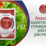 Apasil
