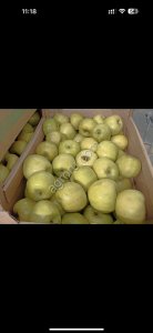 Яблоки обьем 1000 т