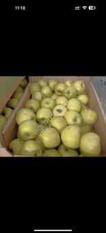 Яблоки обьем 1000 т