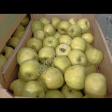 Яблоки обьем 1000 т
