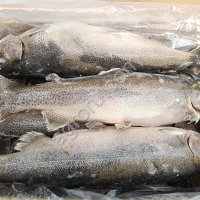 Форель Радужная ПСГ 2, 5+