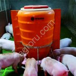 Кормоавтомат (кормушка) для свиней