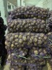 Картофель напрямую с хранилища ТПК , город Омск