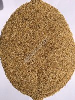 Лен золотистый