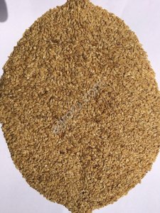 Лен золотистый