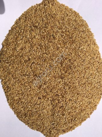 Лен золотистый