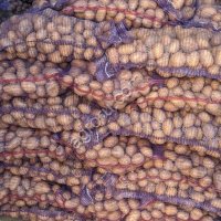 Картофель продовольственный