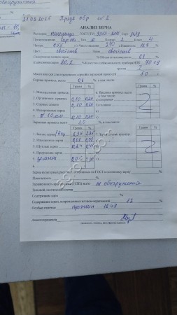 Пшеница 4, 5 класс