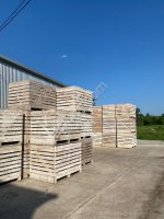 Контейнеры для хранения овощей