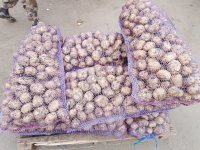 Картофель напрямую с хранилища ТПК , город Омск