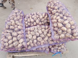 Картофель напрямую с хранилища ТПК , город Омск