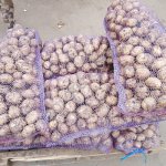 Картофель напрямую с хранилища ТПК , город Омск