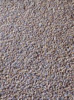 Кукуруза ГОСТ