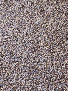 Кукуруза ГОСТ