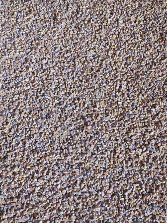 Кукуруза ГОСТ