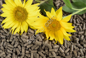 Шрот подсолнечный ГОСТ 39% гранула