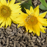 Шрот подсолнечный ГОСТ 39% гранула