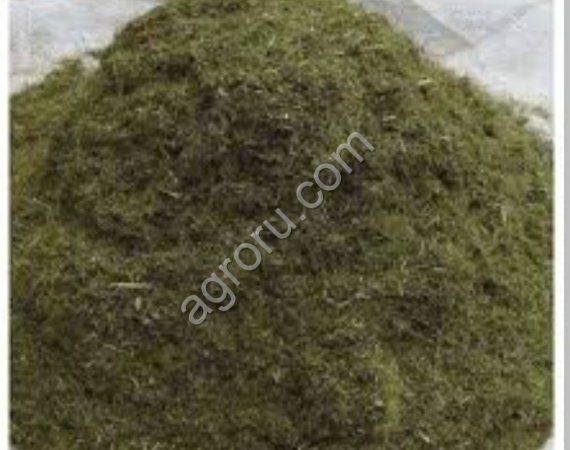 Хвоя сосны, Пихты сухая 15%влажноси