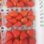 Fresh Berry