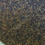 Семена люцерны