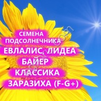 ГИБРИДЫ СЕМЕНА ПОДСОЛНЕЧНИКА БЕЛЛА (ЕВРАЛИЗ) (ЗАРАЗИХА F-G)