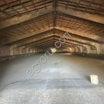 Хозяйство (КФХ)