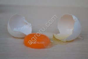 Яйцо куриное столовое пищевое